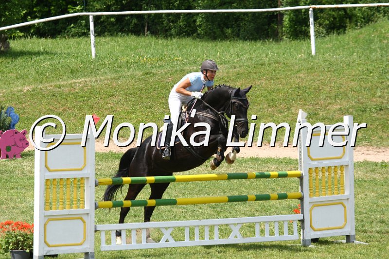 105M0323_Fantastic Touch_Springpf_L.JPG